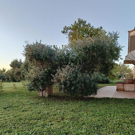 Agriturismo Fontelupo Bracciano  Εξωτερικό φωτογραφία