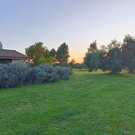 Agriturismo Fontelupo Bracciano  Εξωτερικό φωτογραφία