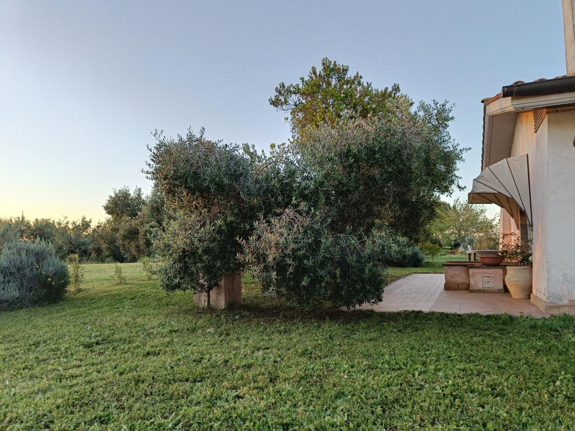 Agriturismo Fontelupo Bracciano  Εξωτερικό φωτογραφία