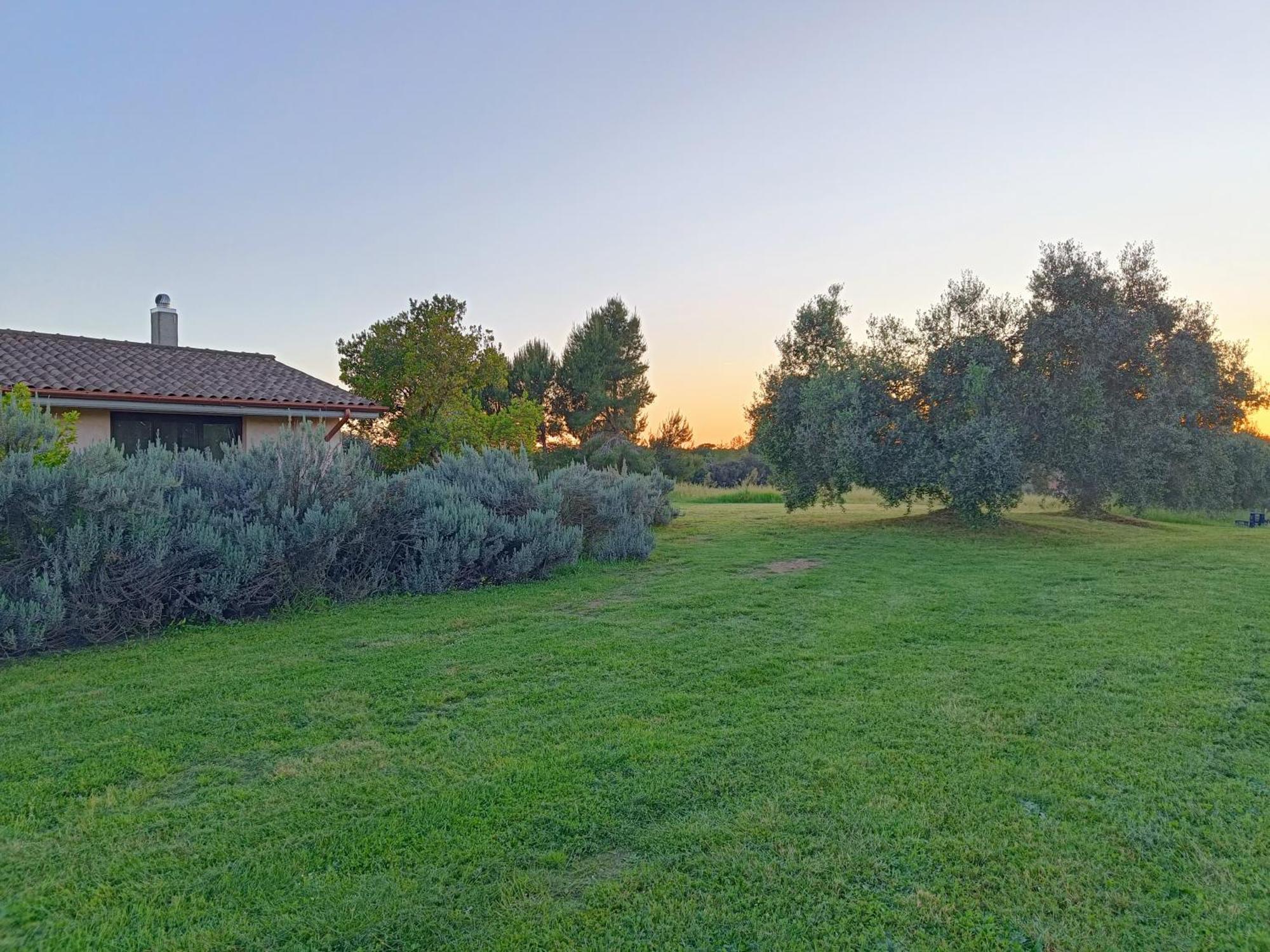 Agriturismo Fontelupo Bracciano  Εξωτερικό φωτογραφία