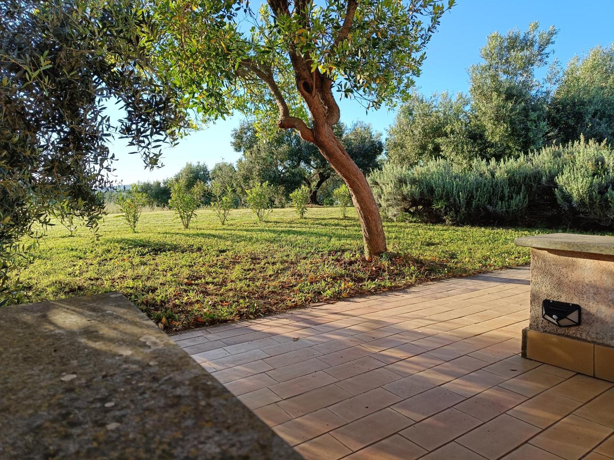Agriturismo Fontelupo Bracciano  Εξωτερικό φωτογραφία