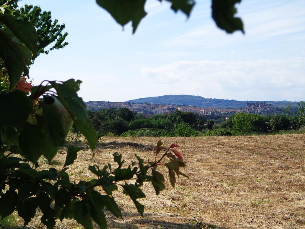 Agriturismo Fontelupo Bracciano  Εξωτερικό φωτογραφία